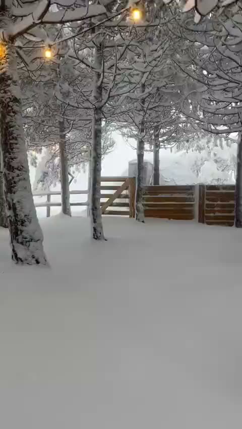 Bosco innevato attorno all'installazione in quota