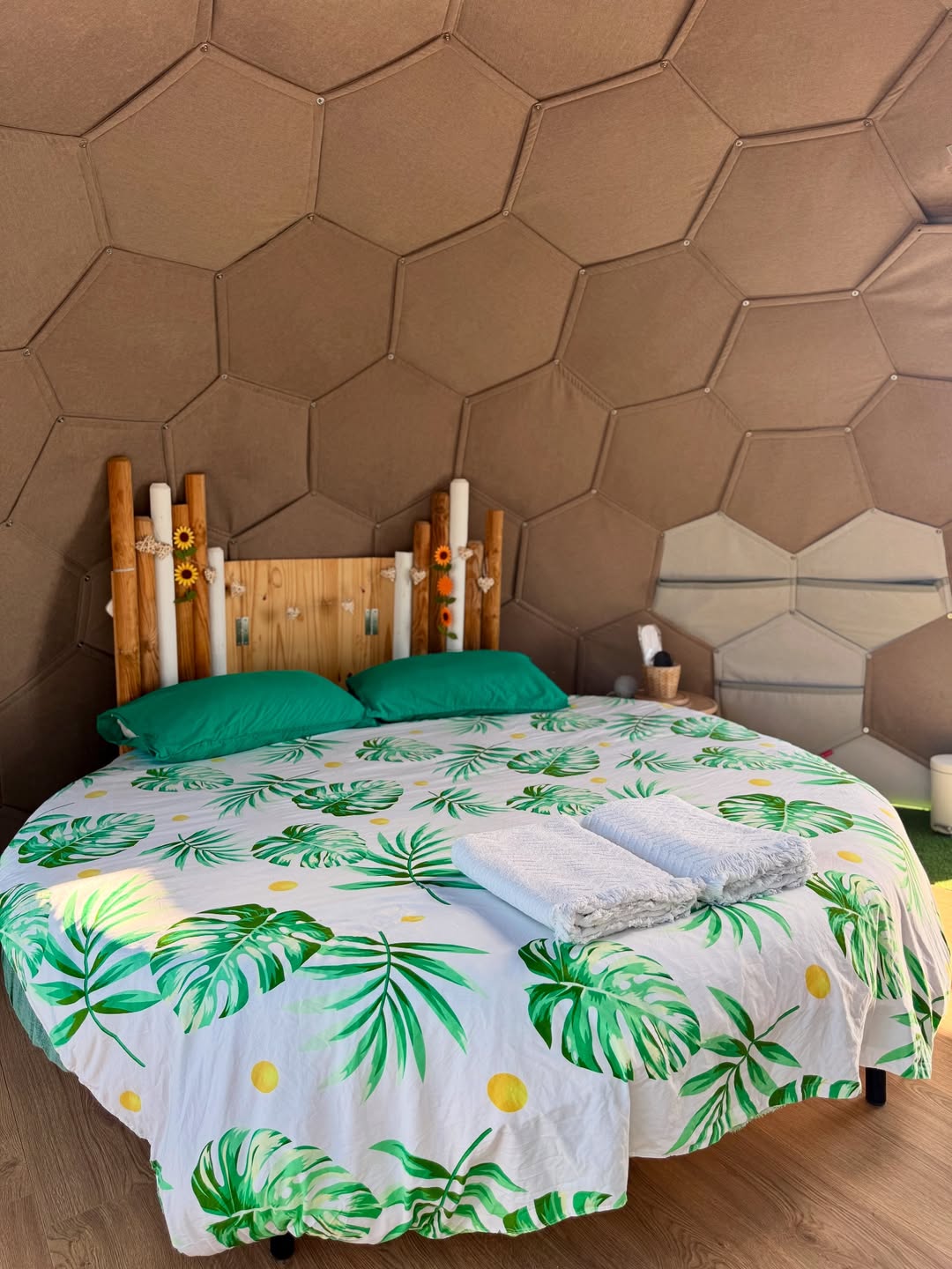 SnapInsta.to_530633628_18172171387343861_8707150588926609619_n